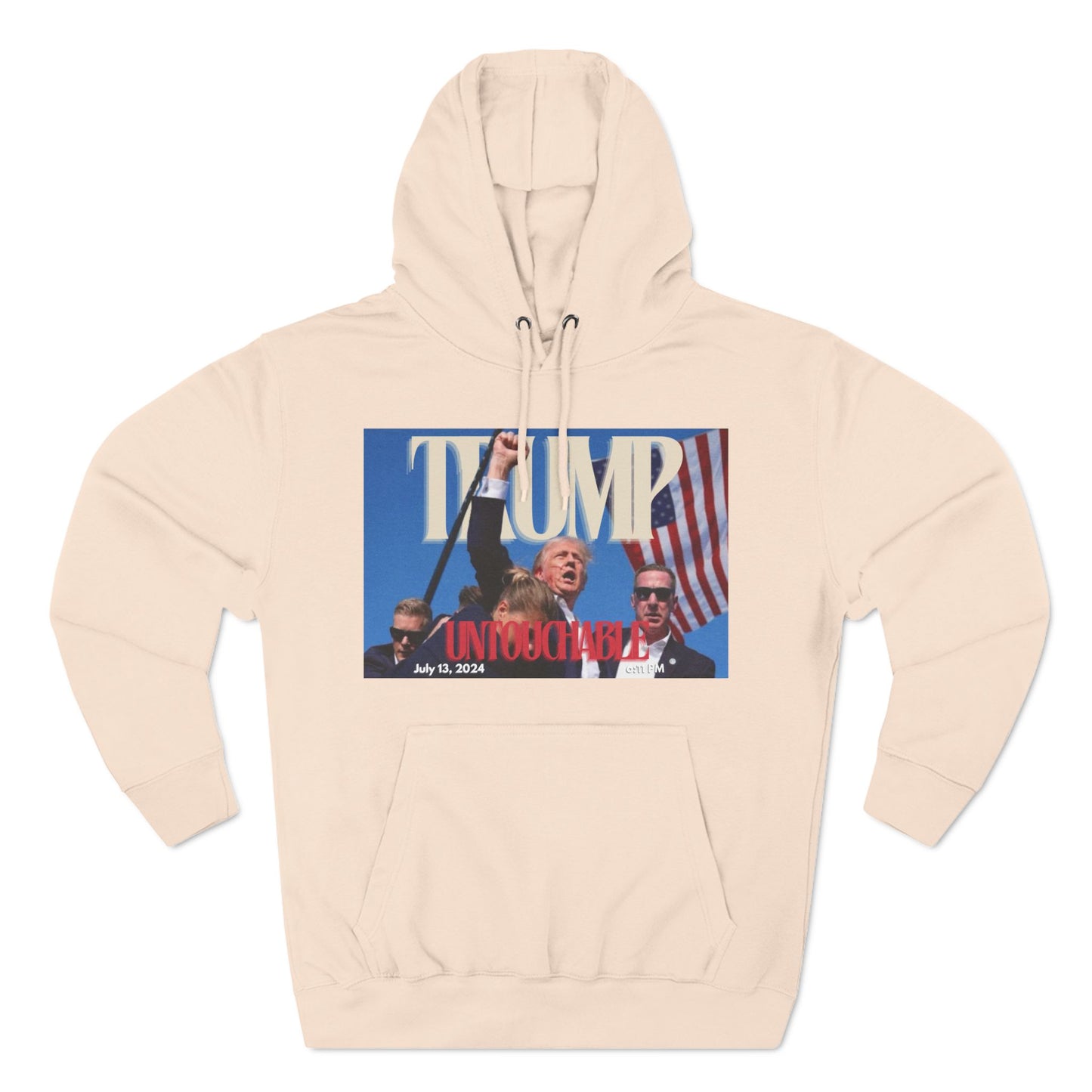 Triumph Hoodie (2/2)